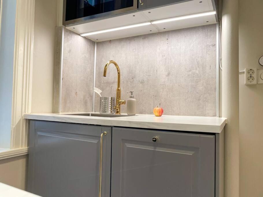 Luxury Apartement In ออสโล ภายนอก รูปภาพ